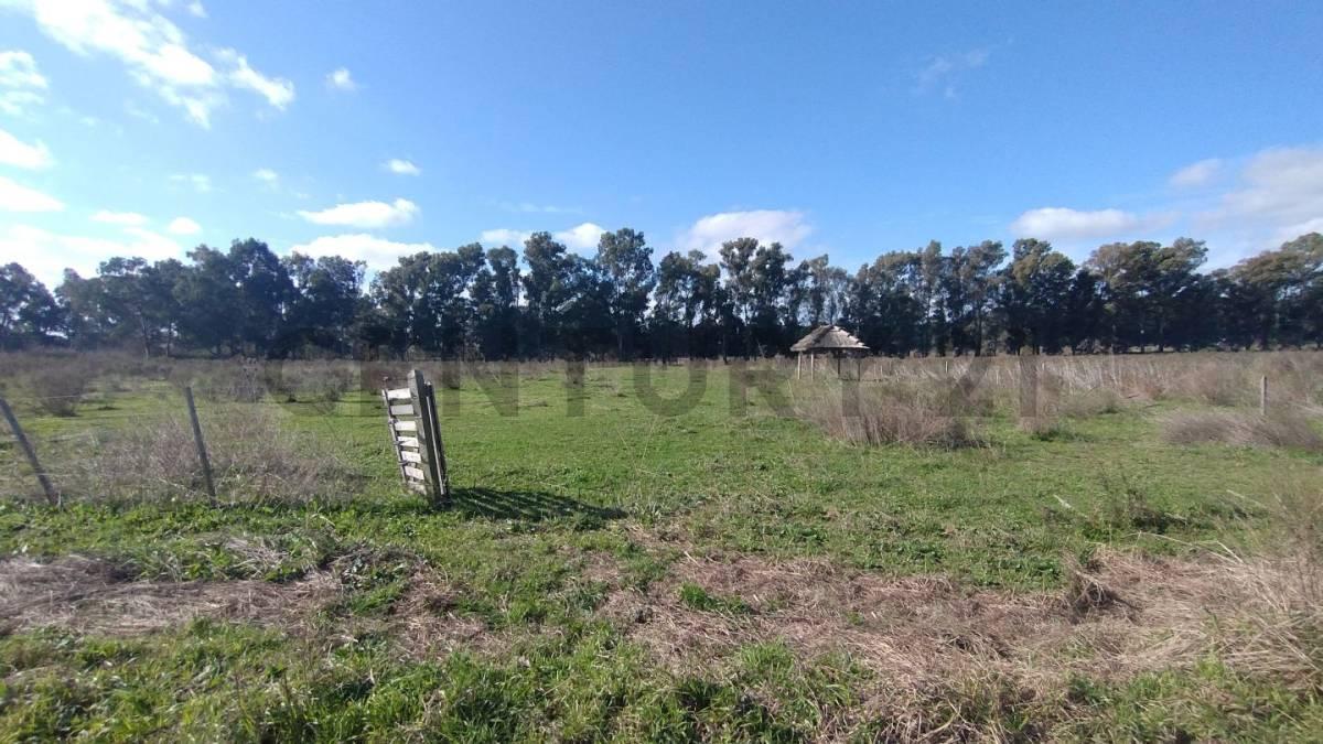 Fracciones en Venta en Arana — foto 1