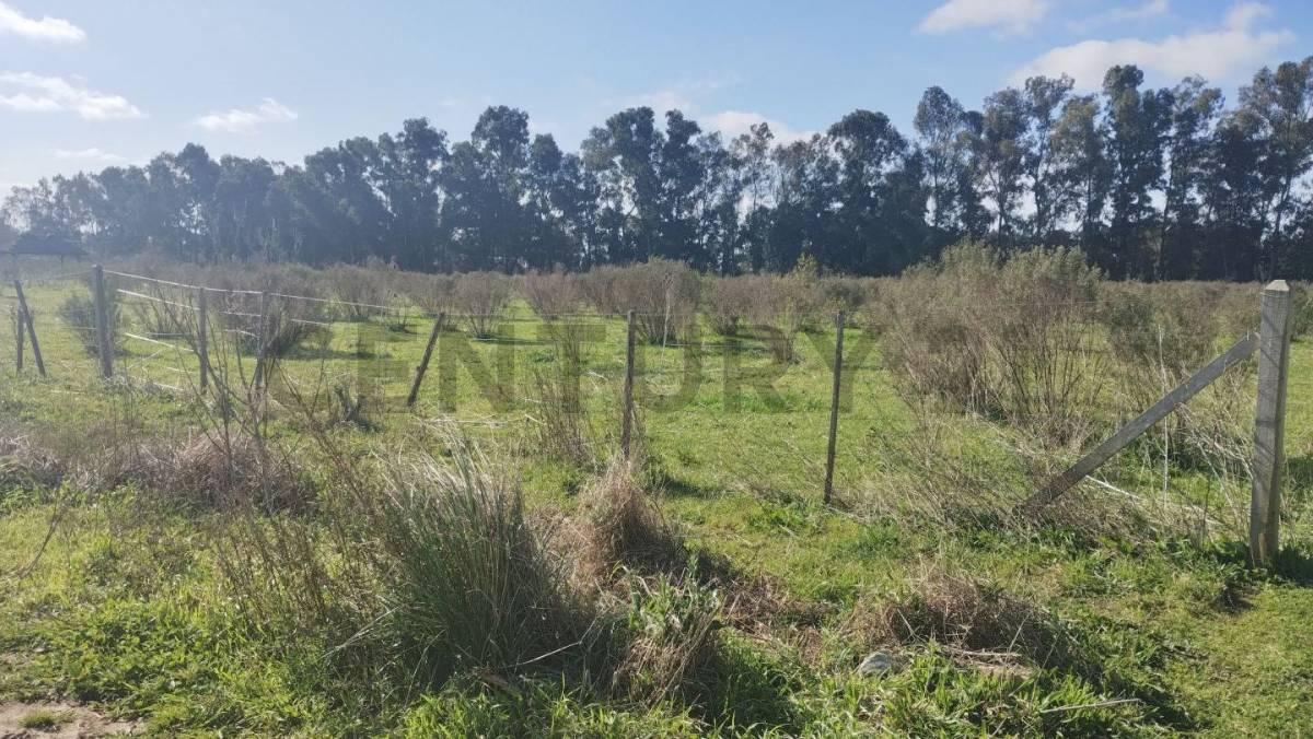 Fracciones en Venta en Arana — foto 1