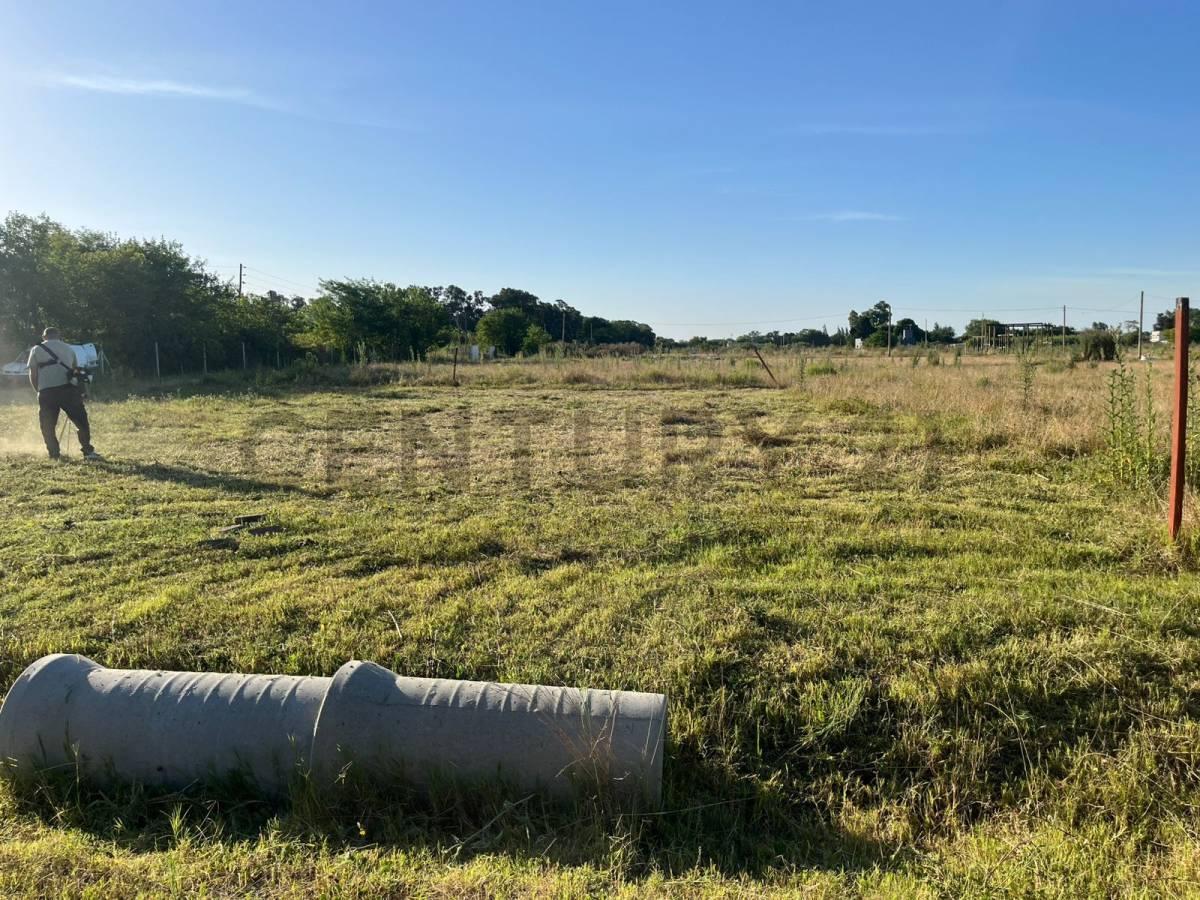 TERRENO EN VENTA 12X27 CEREZOS 2 — foto 1