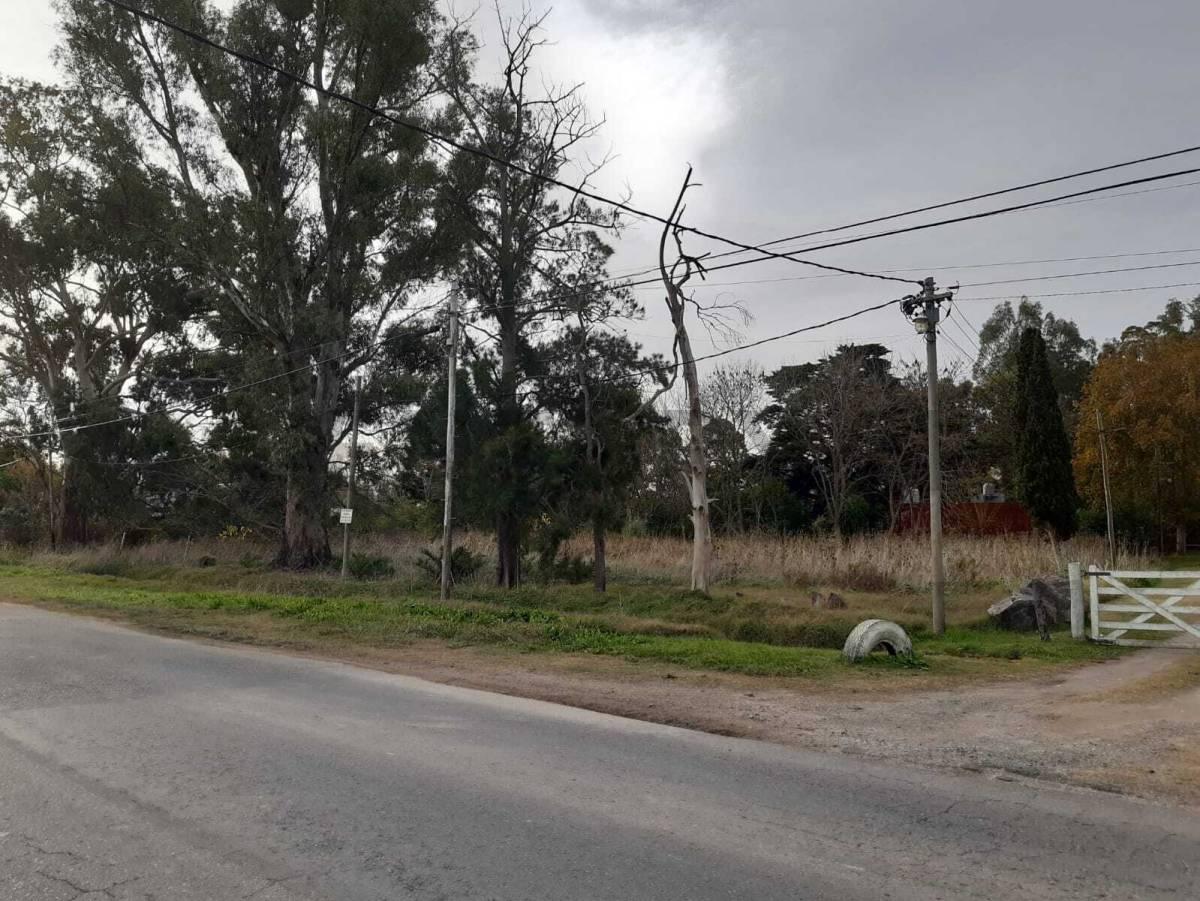 Terreno en venta en Los Talas — foto 1