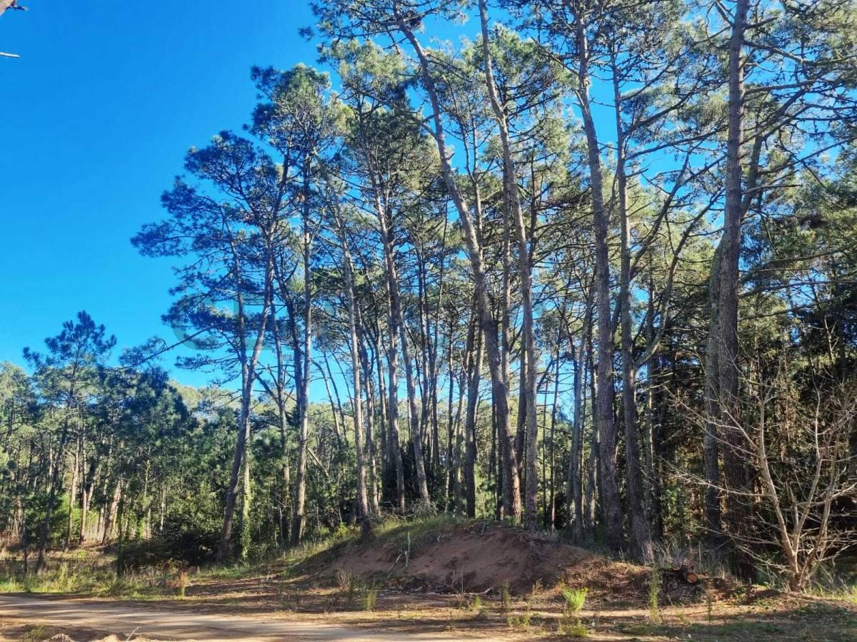 Terreno en Cariló — foto 1