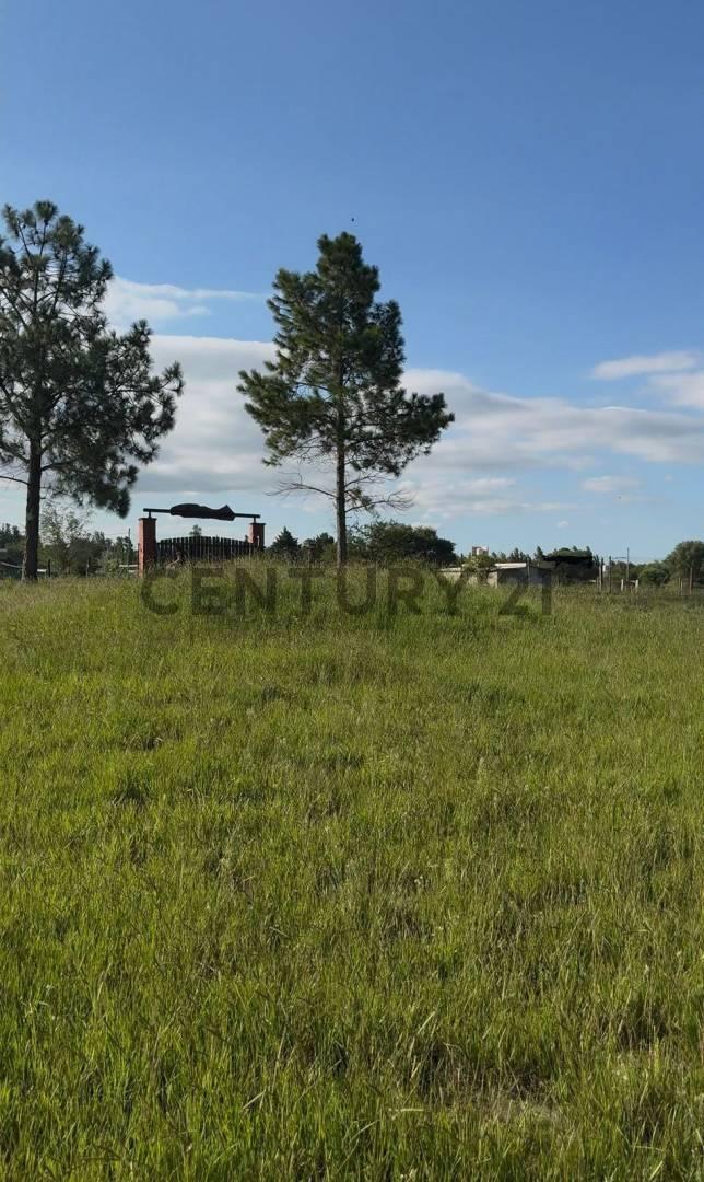 VENTA LOTE 1200 MT COSTA AZUL. ANISACATE ANISACATE — foto 1