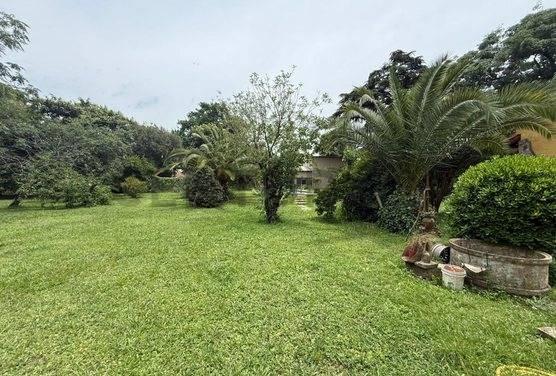 Lote 1200 M2 — foto 1