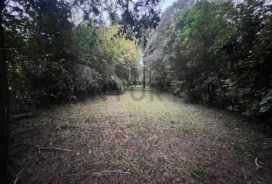 Lote en venta 460 m2 moreno — foto 1