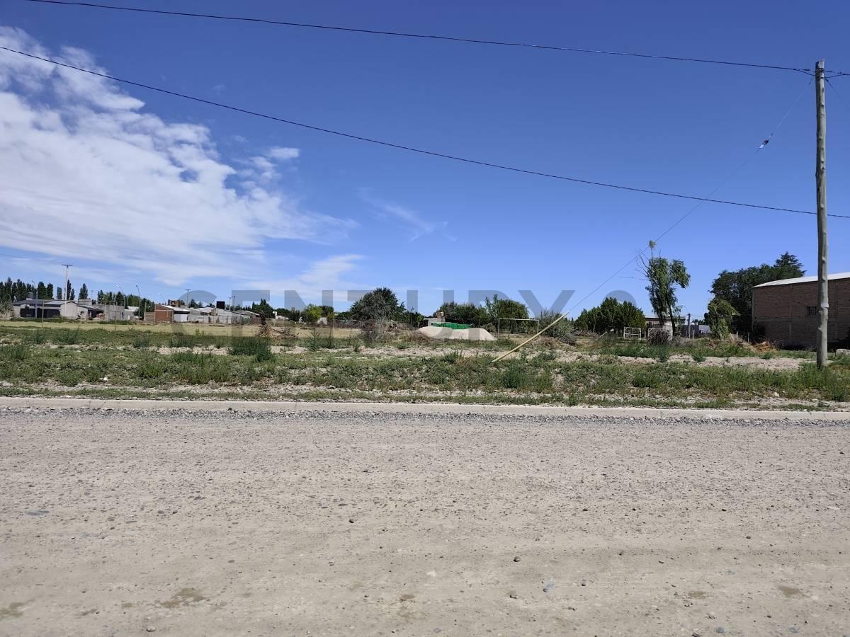 Pre-Venta deTerrenos en General Roca — foto 1