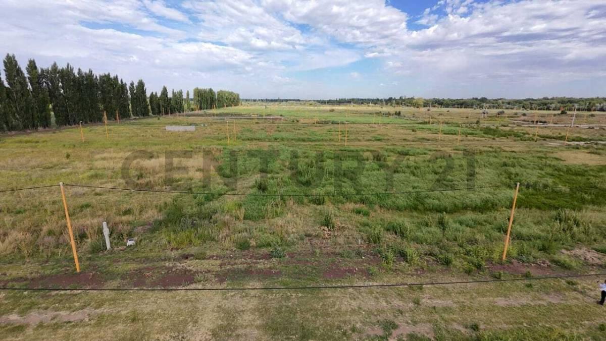TERRENO EN LA RUFINA I - CERVANTES — foto 1