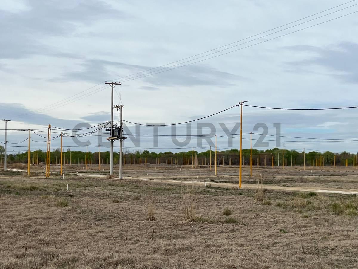 Terreno en Cervantes loteo Rufina II — foto 1