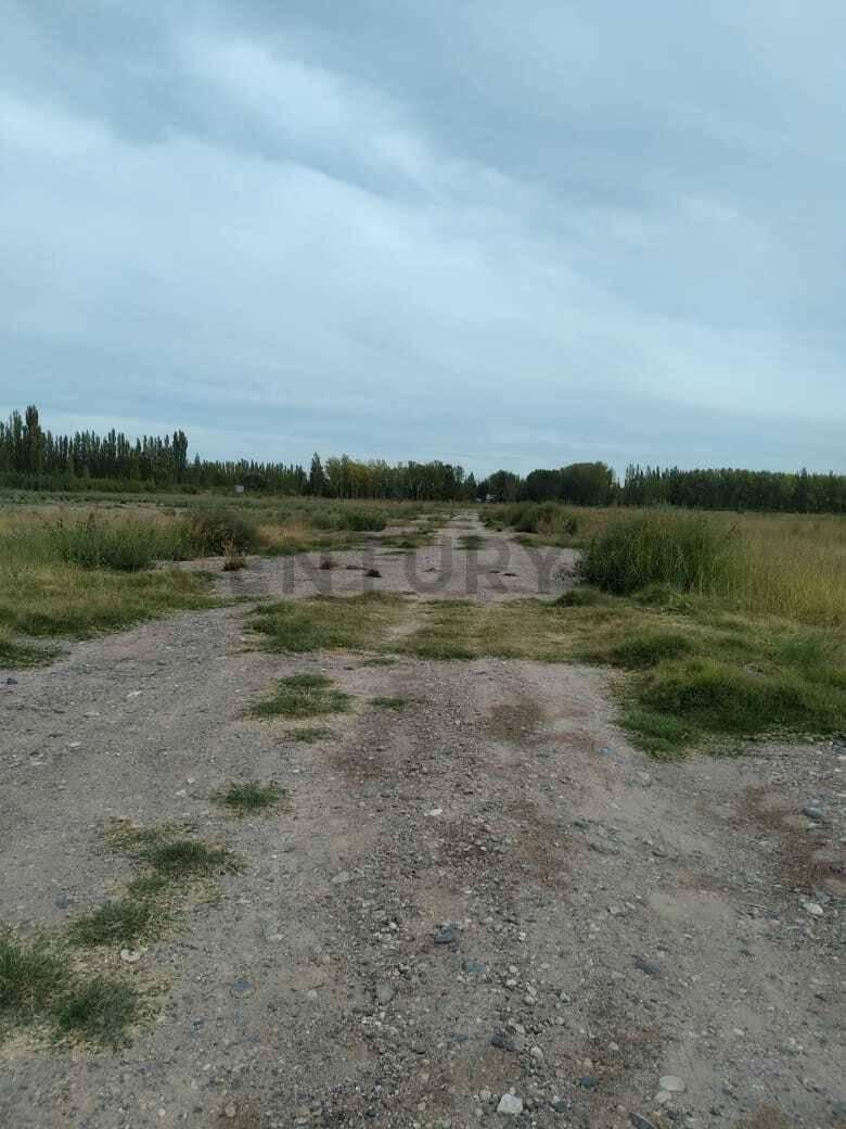 Terreno en Allen- Loteo Don Nicolas — foto 1