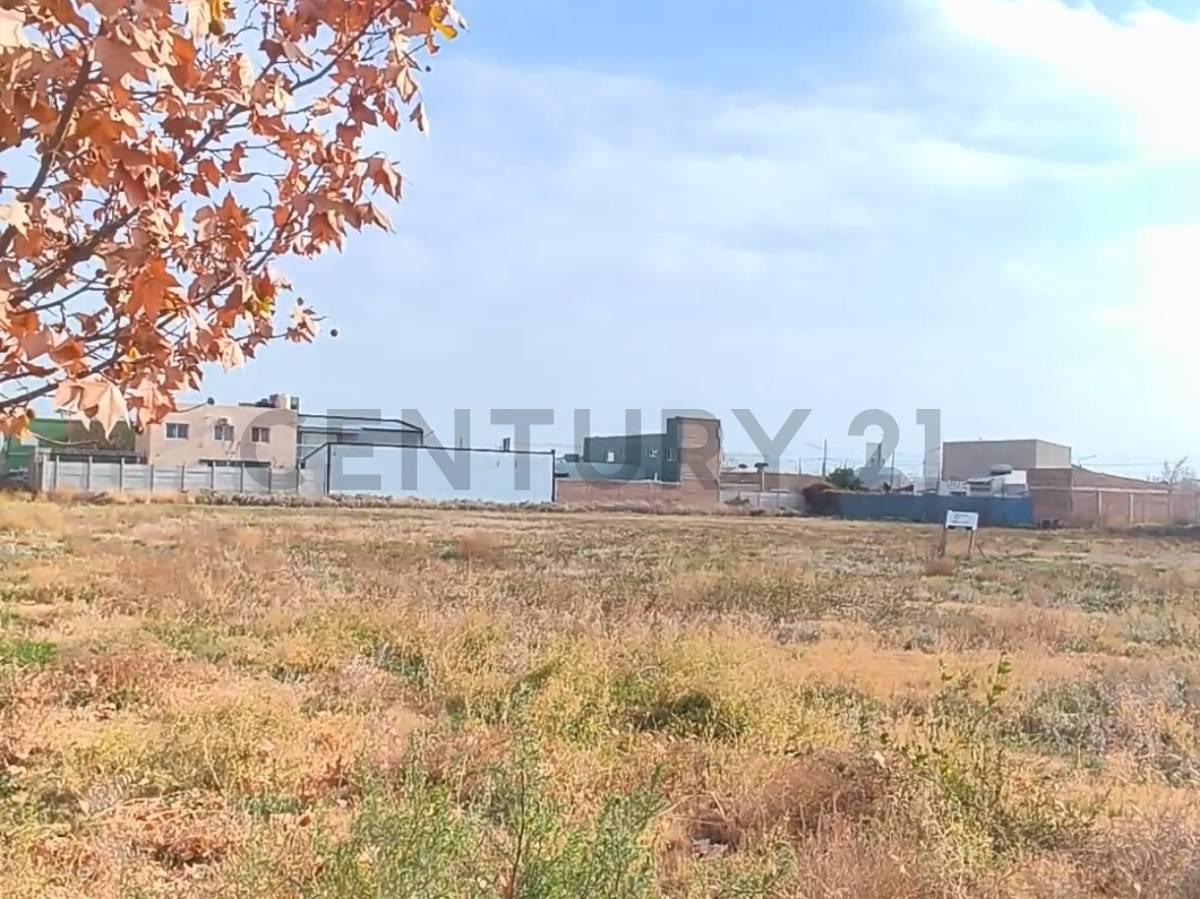 Venta de Terreno Ciudad de Allen — foto 1