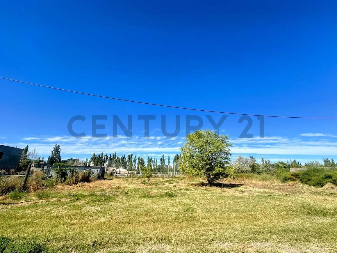 Terreno de 370 m² en venta – Stefenelli, General Roca | Posibilidad de comprar dos lotes juntos — foto 1