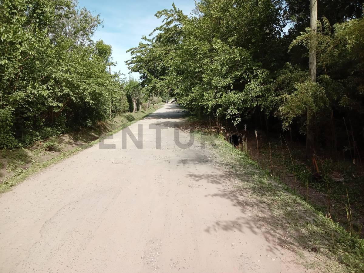 Lote en venta en Villa Elisa — foto 1