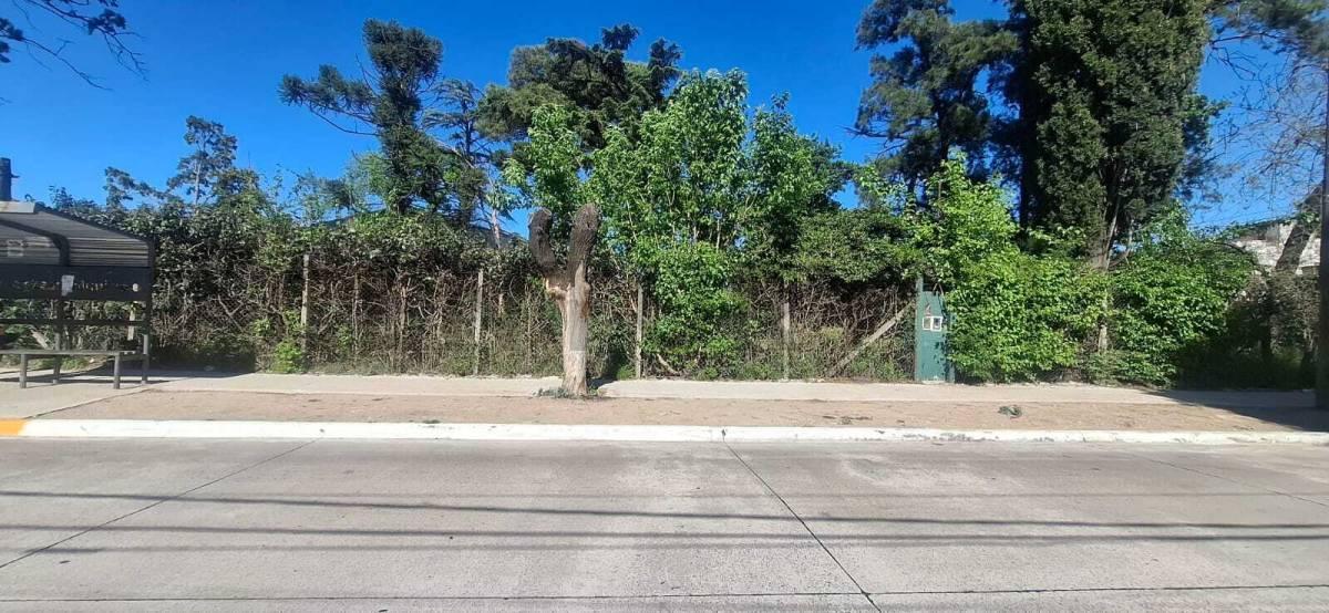 Lote 5000 m² sobre Avenida en Hurlingham – Ideal Depósito, Corralón o Emprendimiento — foto 1