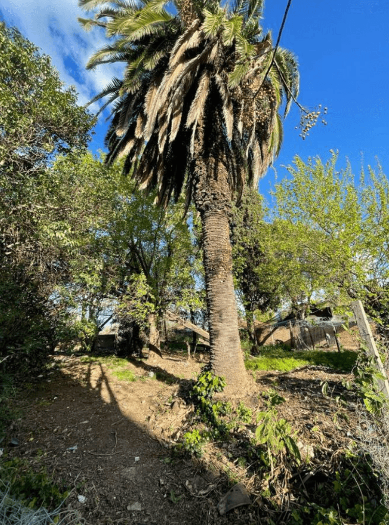 TERRENO EN VENTA EN EXCELENTE UBICACION - GUERNICA CENTRO — foto 1
