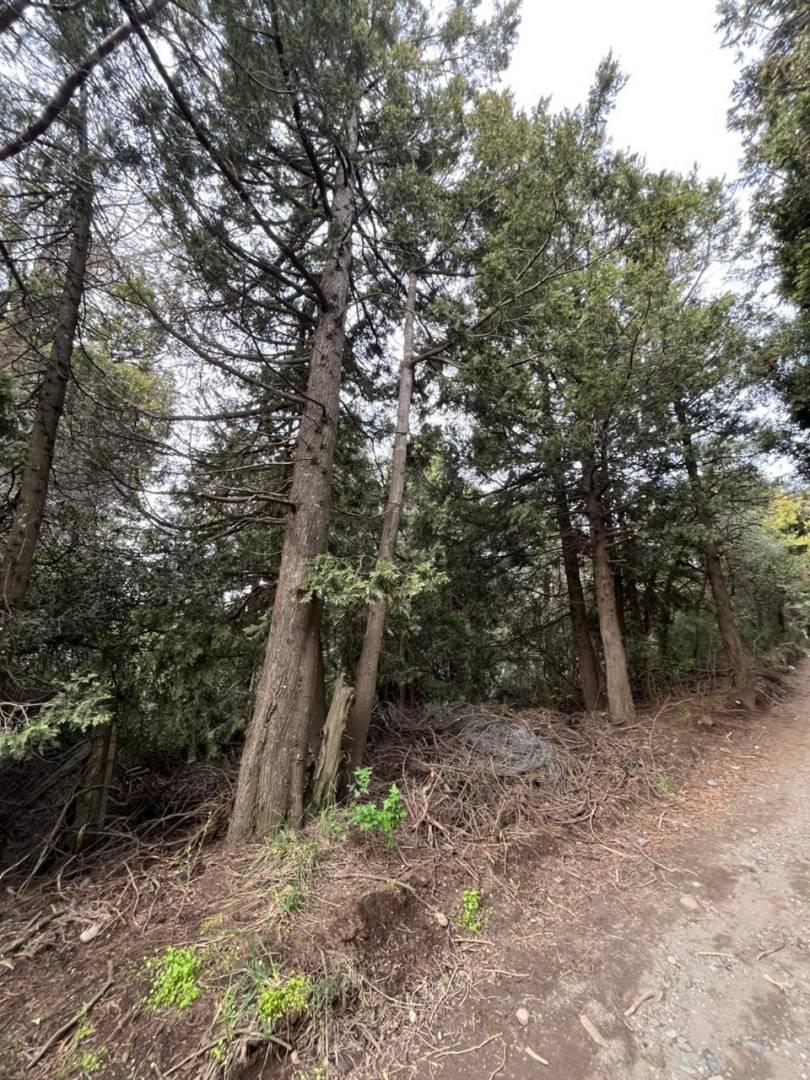 Lote en venta Bariloche — foto 1