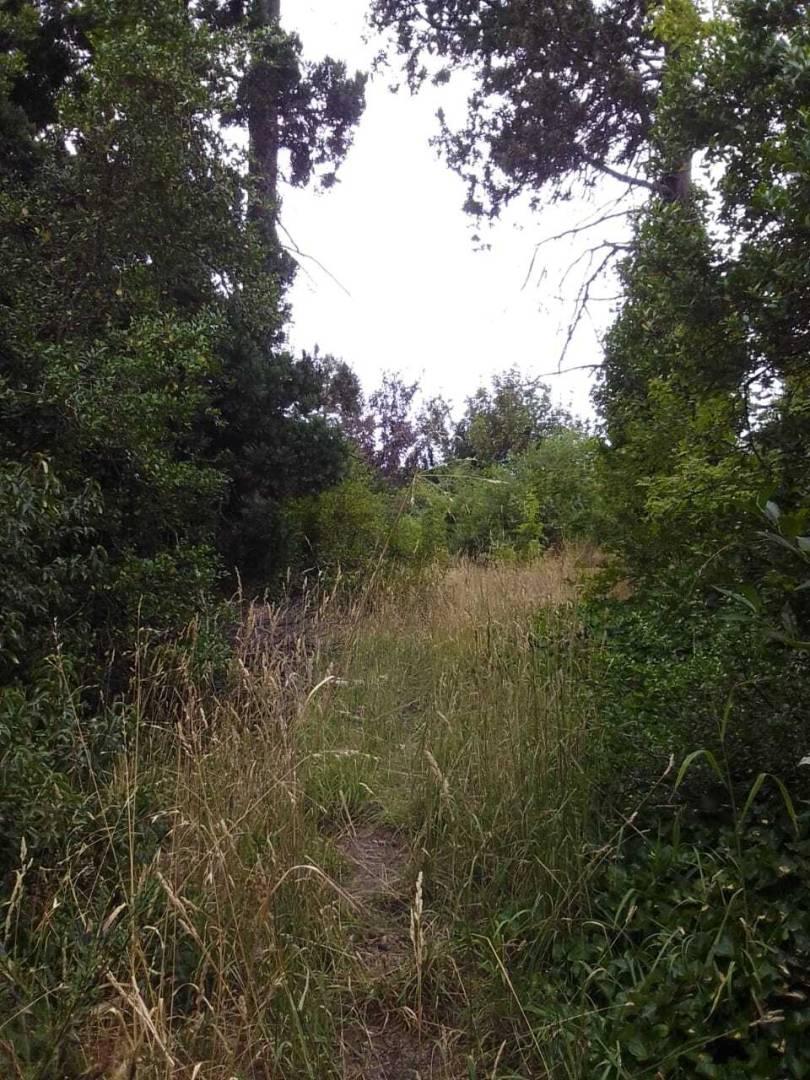 Terreno en venta en Bariloche — foto 1