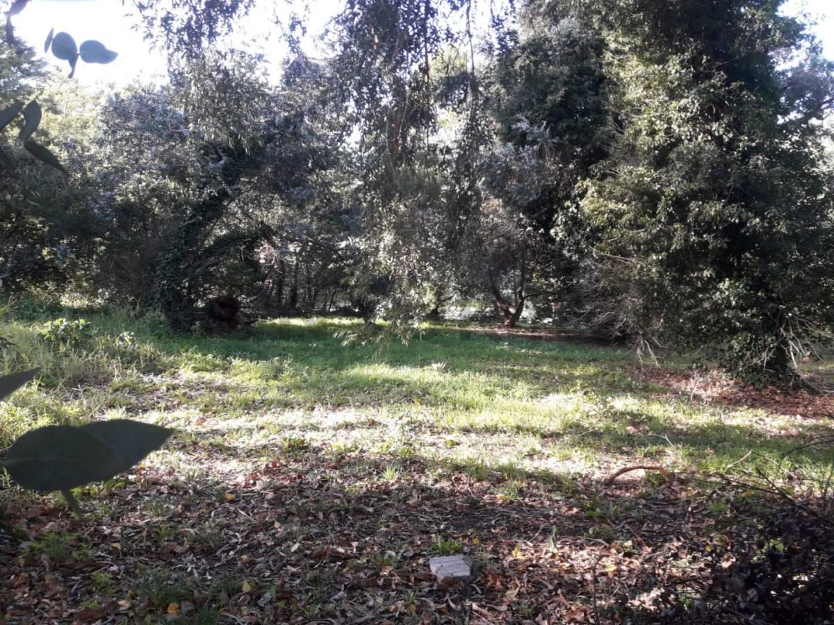 VENDO LOTE EN SIERRA DE LOS PADRES ZONA GOLF — foto 1