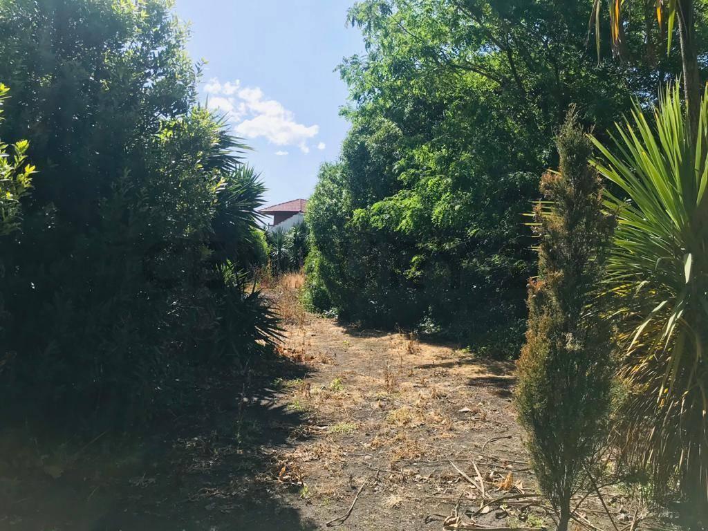 TERRENO EN VENTA EN BARRIO SAN CARLOS ID 20074 — foto 1