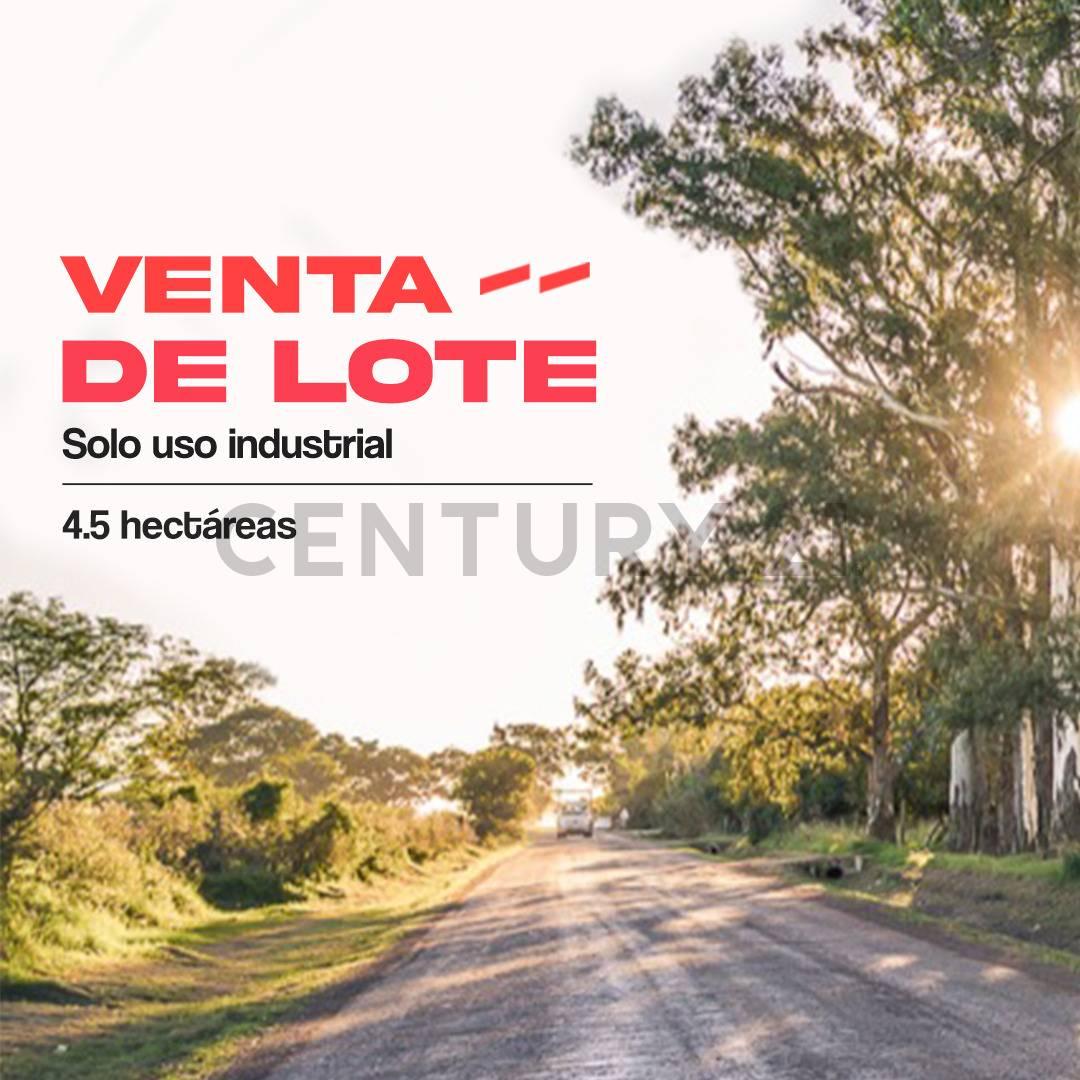 VENTA DE 4,5 HECTÁRES SECTOR INDUSTRIAL - camino 6 - Rafaela — foto 1