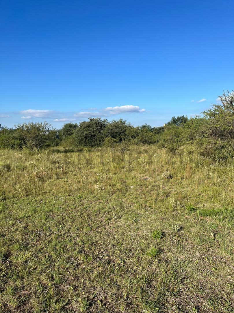 Venta terreno 1053 m2 en Los Espinillos — foto 1