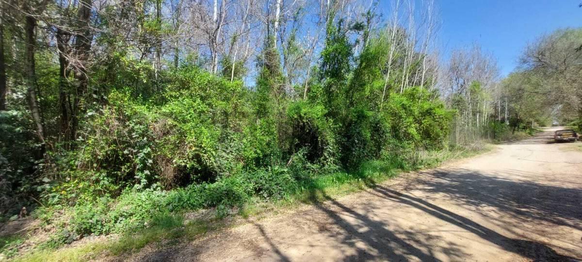 SE VENTE LOTE EN VILLA YACANTO — foto 1