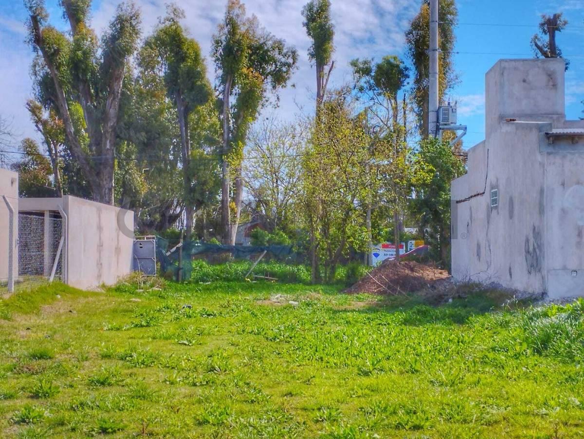 LOTE VENTA LA PLATA SAN PATRICIO 2 — foto 1