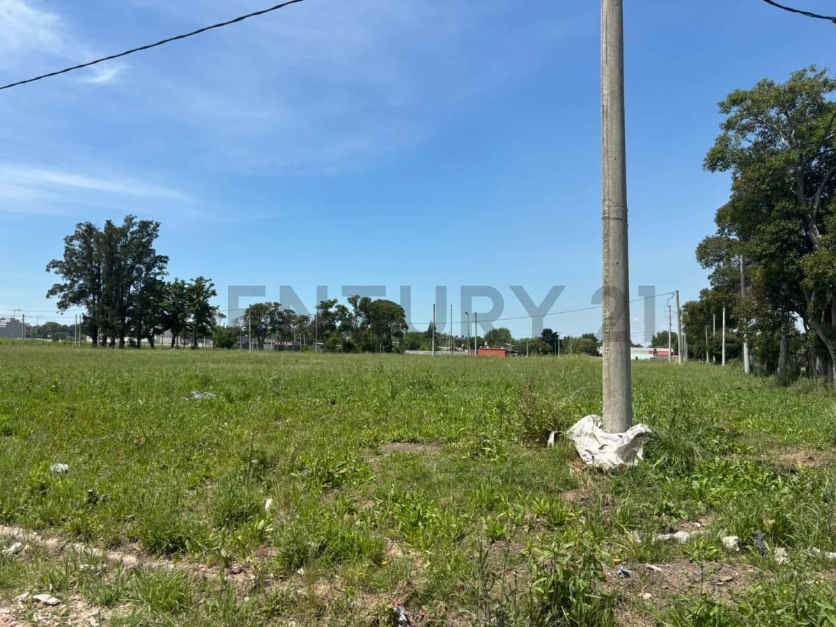 LOTE EN VENTA SICARDI BARRIO ABIERTO LAS CORTADERAS — foto 1