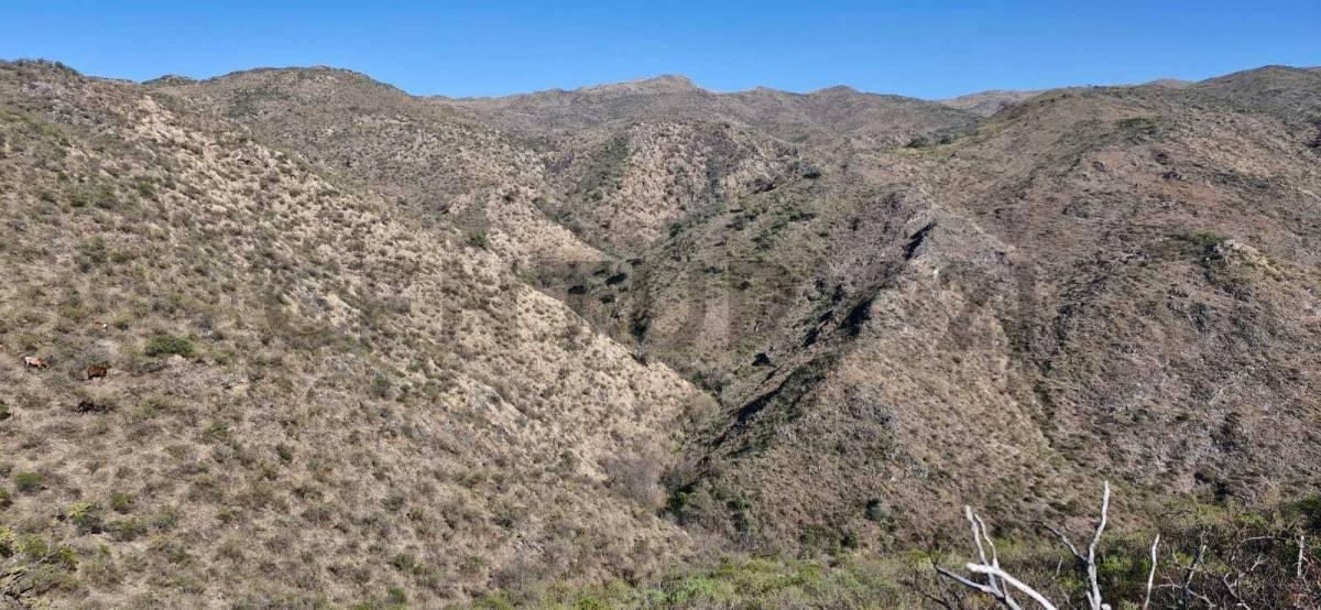 OPORTUNIDAD CAMPO DE 220,64 HECTAREAS en Alta Gracia - USD 1345 x ha — foto 1