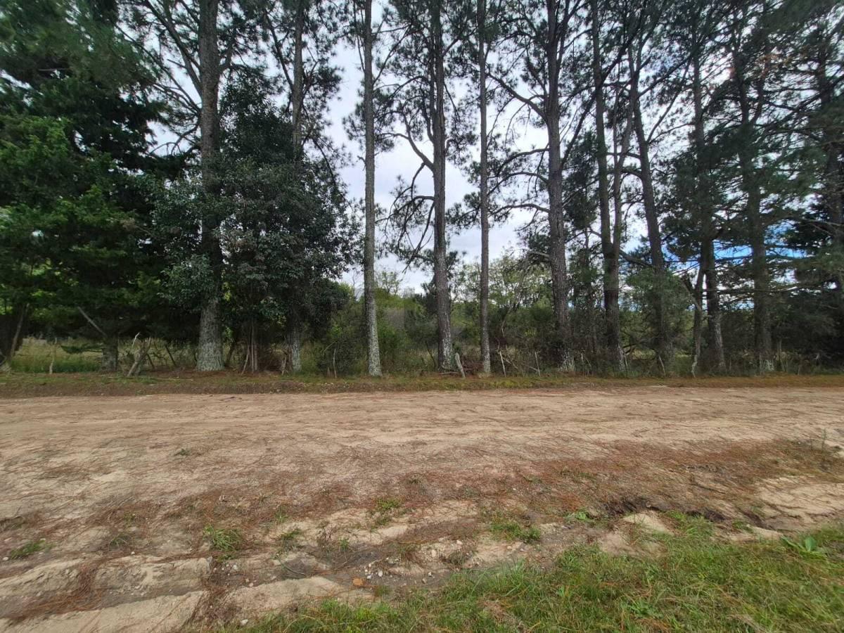 TERRENO 5000M2 EN SAN CLEMENTE - A 2 CUADRAS DE LA RUTA - - — foto 1