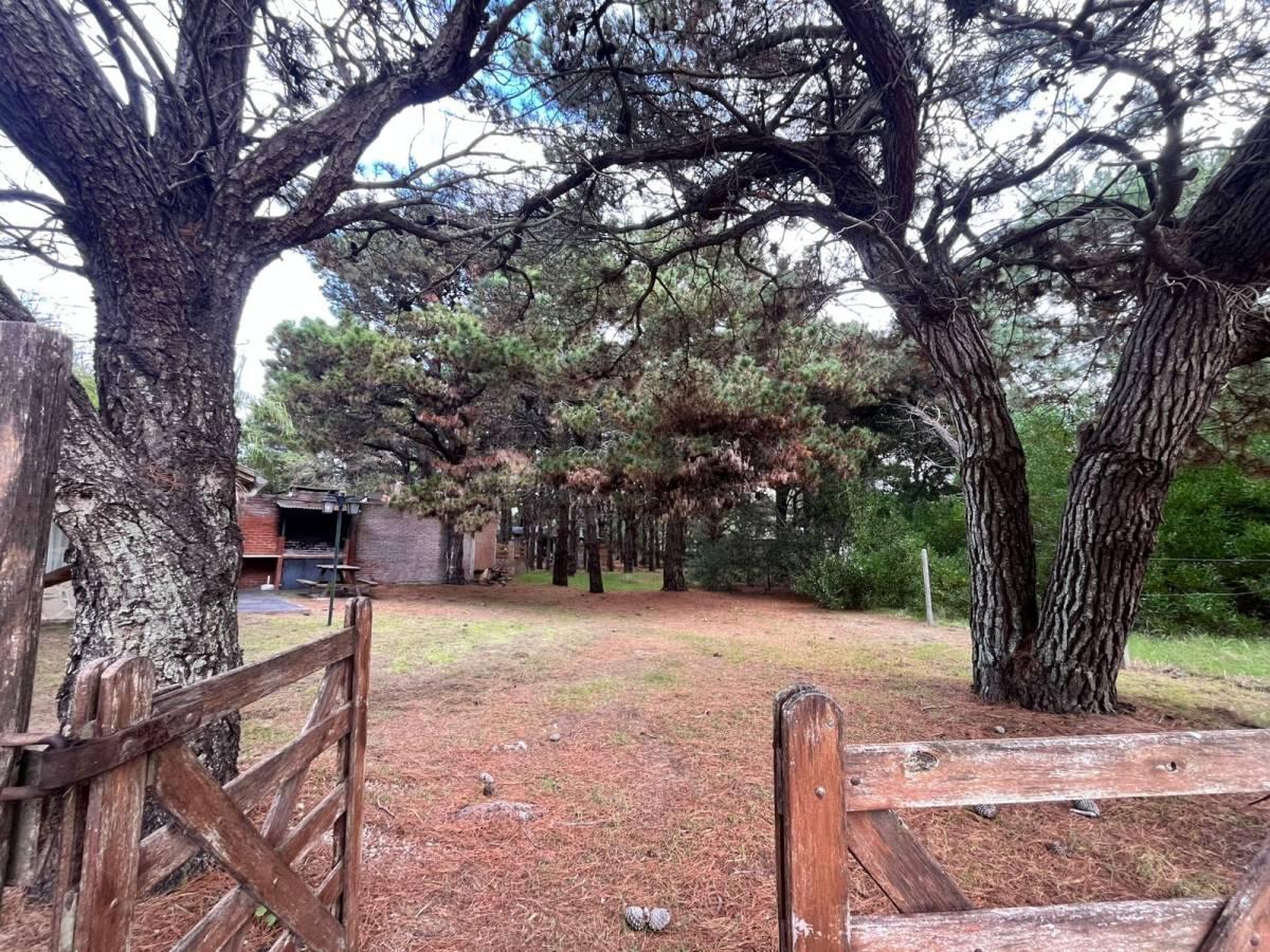 Lote en Nueva Atlantis — foto 1