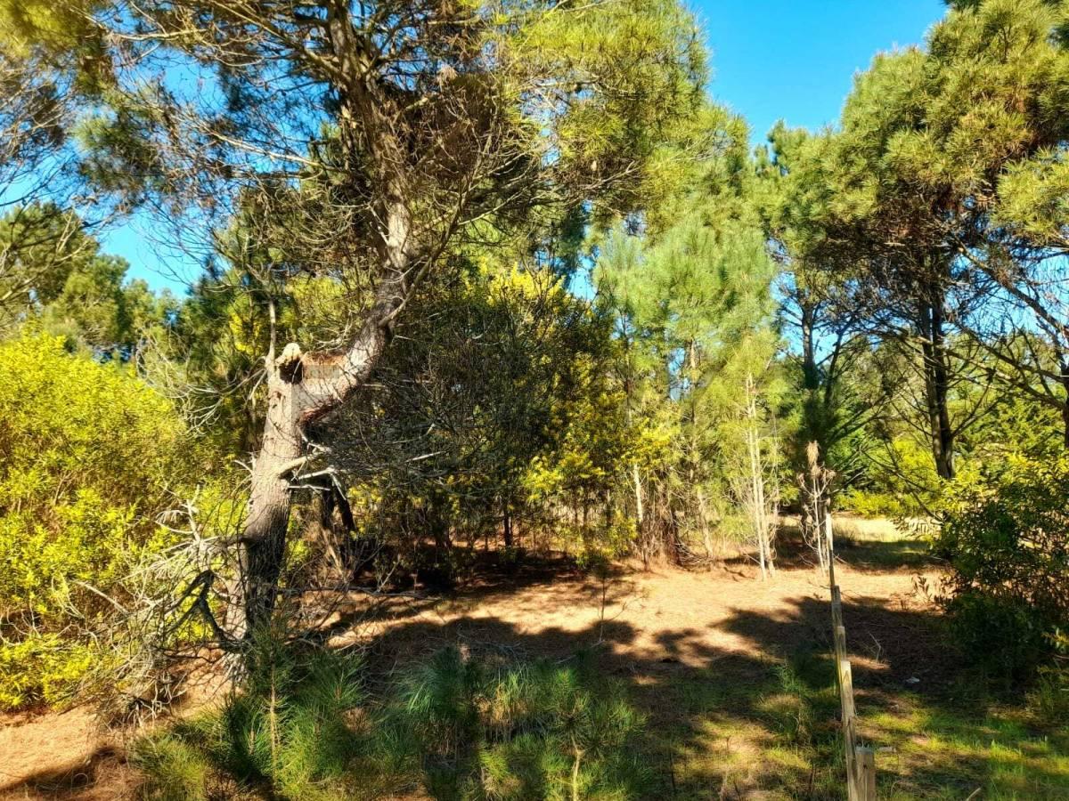 VENTA LOTE LAS GAVIOTAS FRENTE A MAR DE LAS PAMPAS COSTA ATLANTICA — foto 1