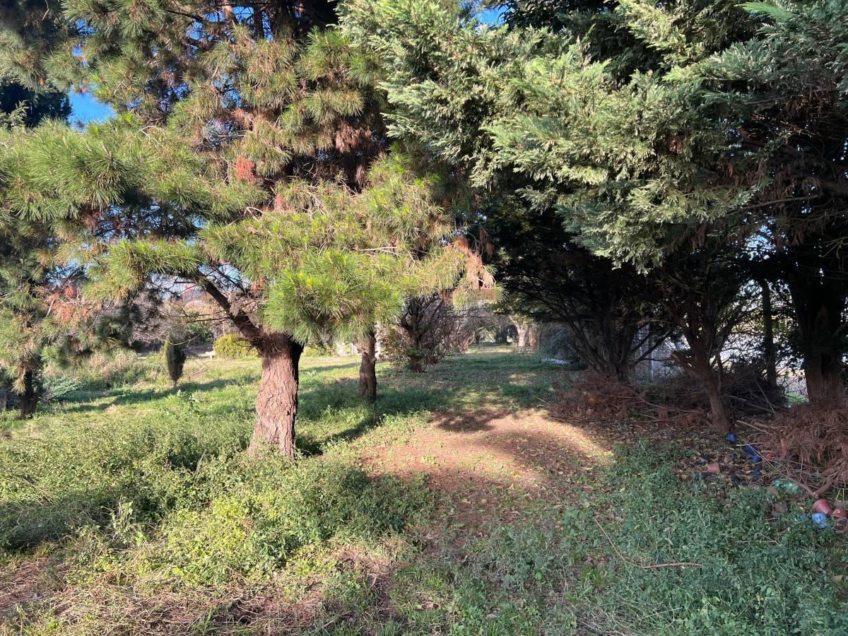 VENTA TERRENO 3 HECTÁREAS EN MERLO — foto 1