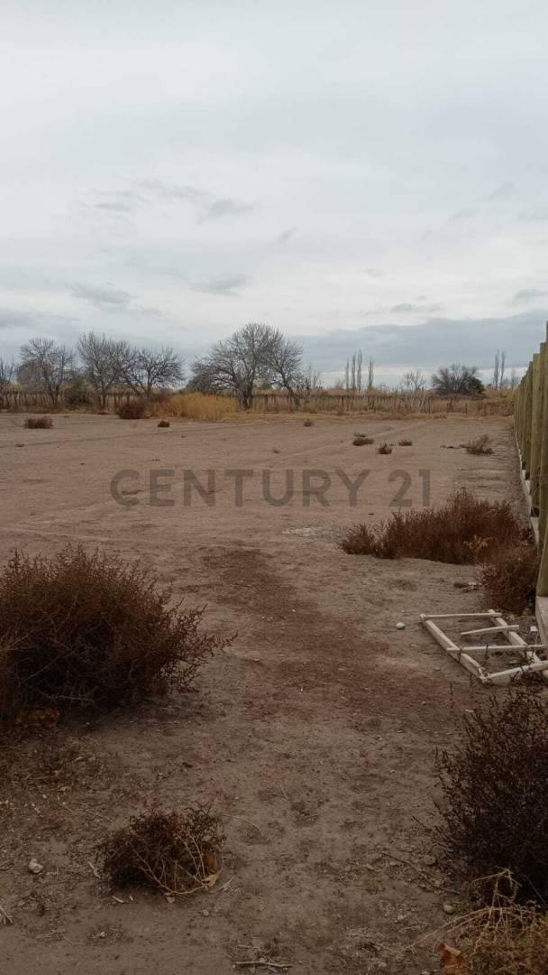VENDO LOTE EN SANTA LUCIA DE 1150M2 EXCELENTE UBICACION — foto 1