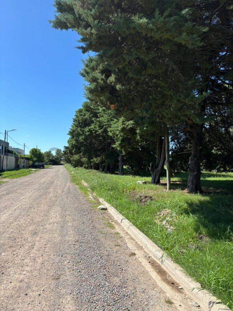 Venta de Lotes en Gorina, La Plata, Quintas de Marquez — foto 1