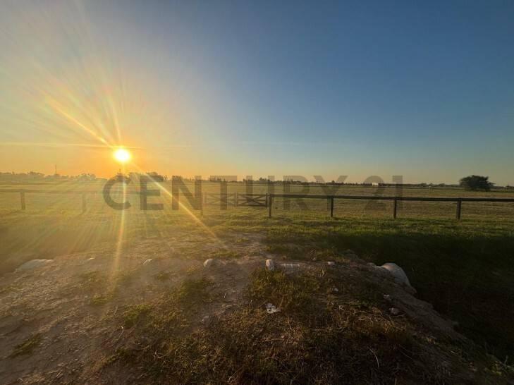 VENTA LOTE 1 HA EN CHACRAS DE LA TRINIDAD POLO & COUNTRY CLUB — foto 1