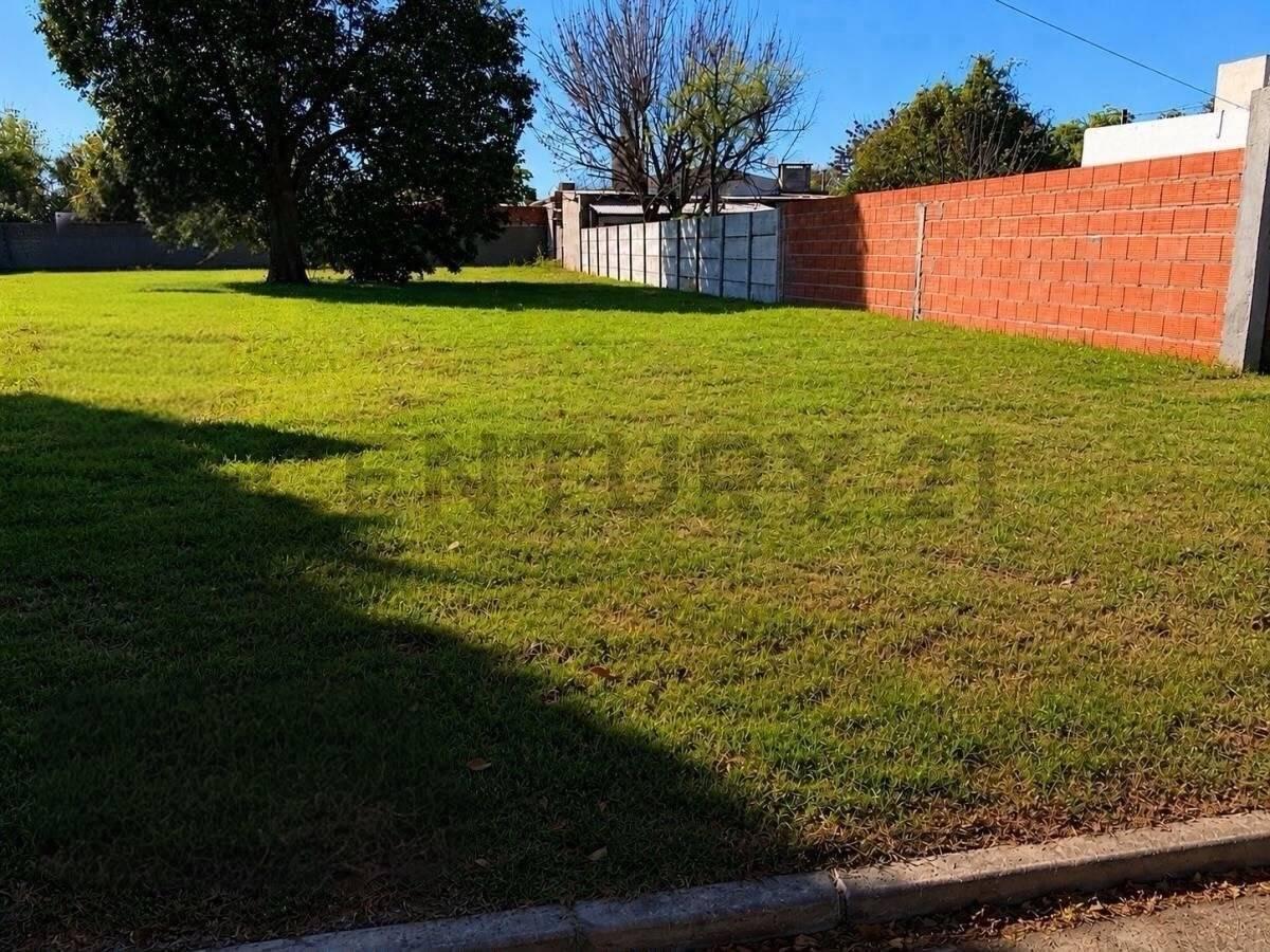 Amplio terreno de 375m2 en venta |10x37,5| Lisandro De La Torre al 3600 — foto 1