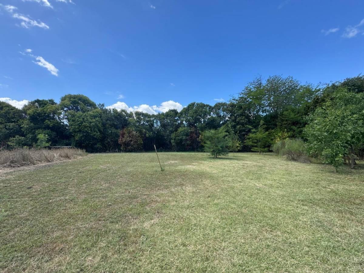Lotes a la venta en complejo cerrado en Joaquín Gorina — foto 1