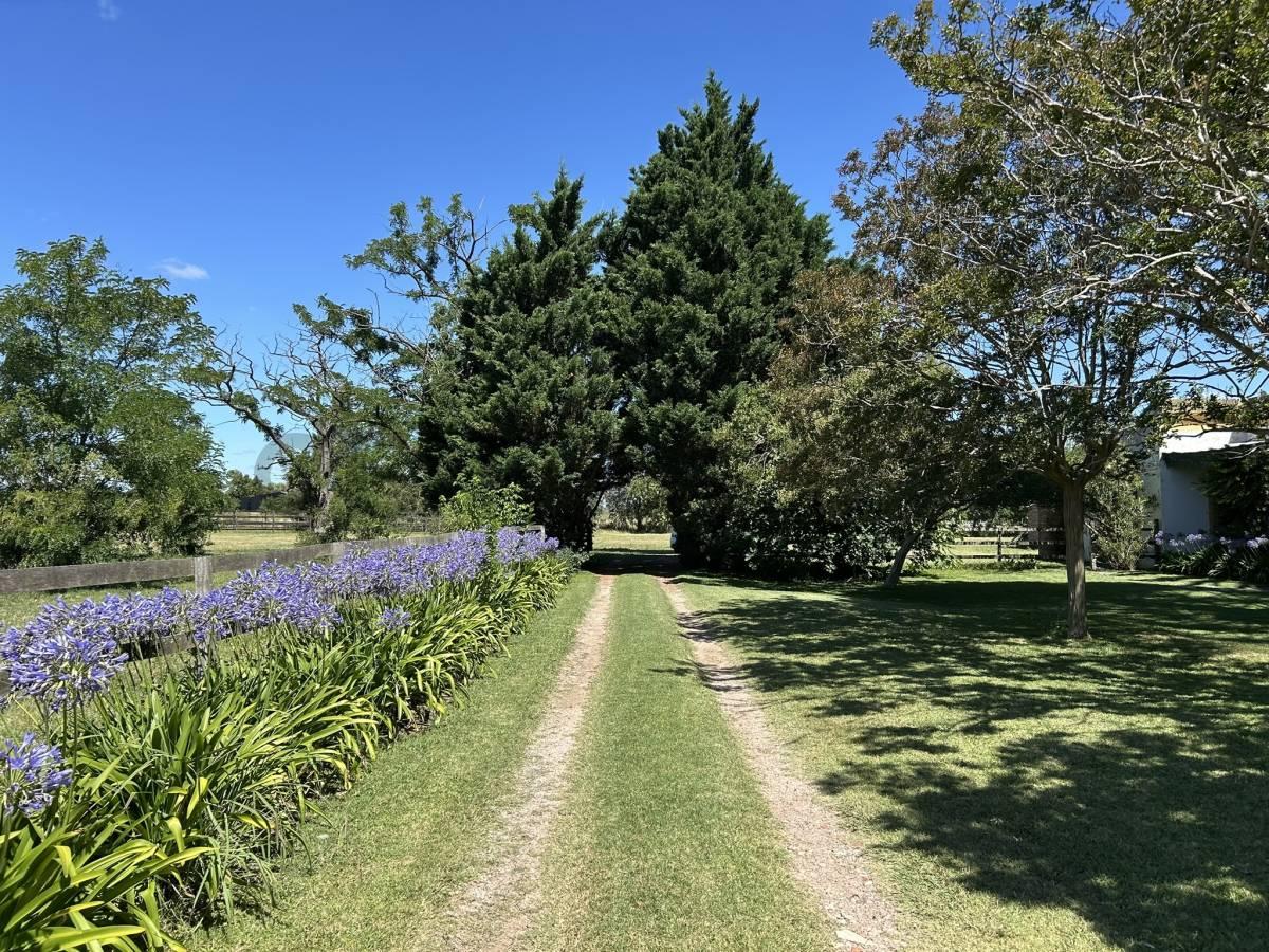 CAMPO EN VENTA EN GRAN LA PLATA — foto 1