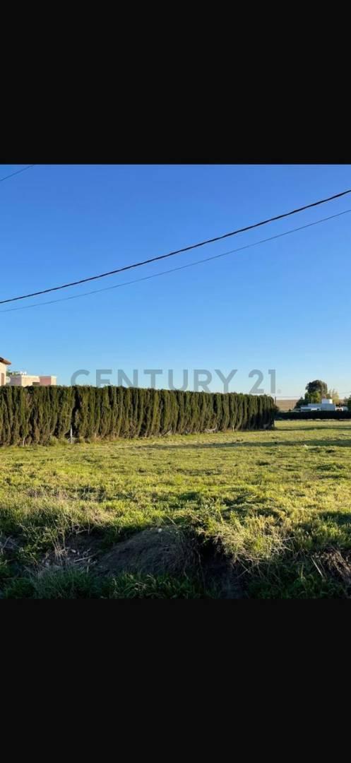 Gran Terreno en Parque Norte — foto 1