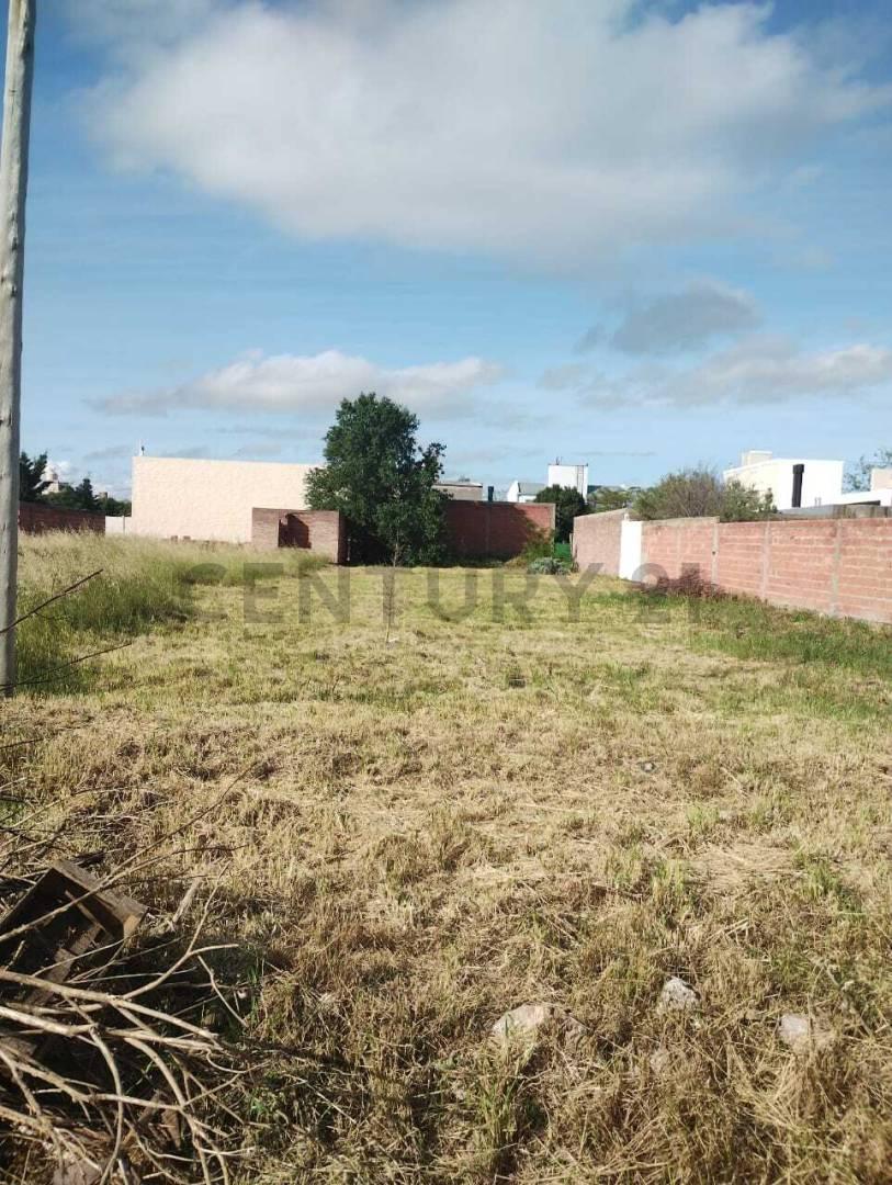 Gran Terreno en Altos de Alem — foto 1