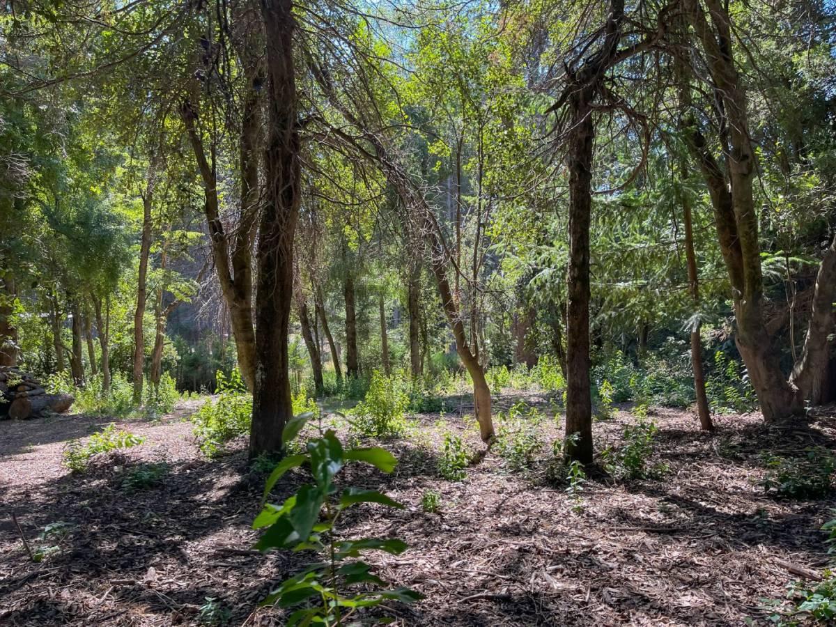 Venta lote Villa La Angostura — foto 1