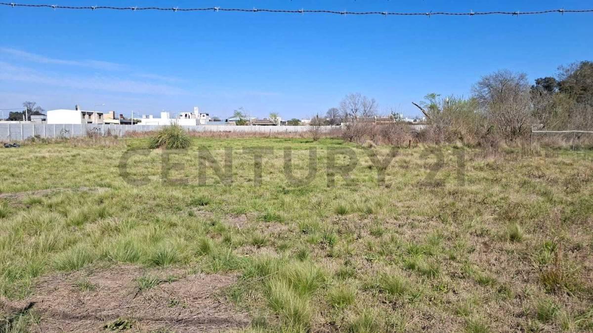 TERRENO EN VENTA EN BARRIO CIUDAD NUEVA - VENADO TUERTO — foto 1