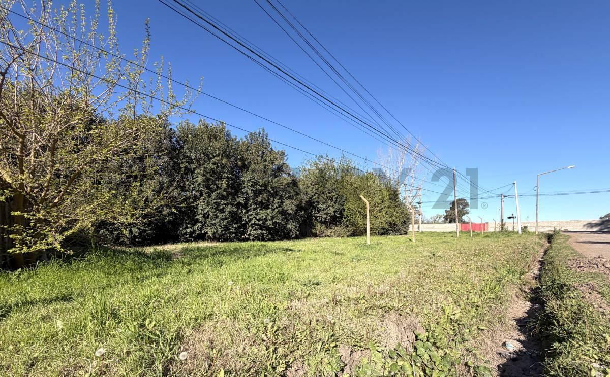 TERRENO EN ESQUINA CERRITO Y ÁNGEL ETEROVICH - VENADO TUERTO — foto 1