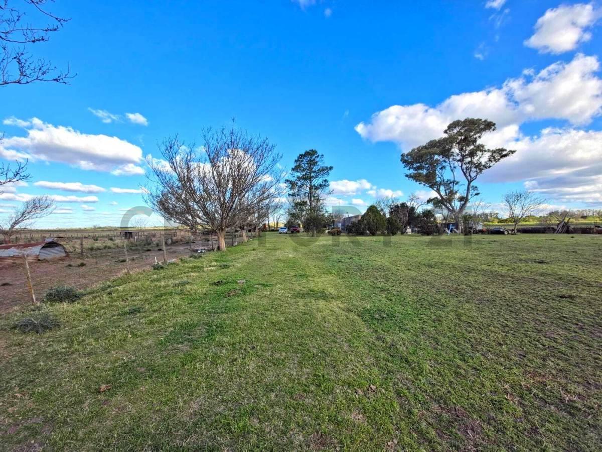 CAMPO DE 25 HECTÁREAS – 11 HA AGRÍCOLAS + SECTOR GANADERO. ELORTONDO — foto 1