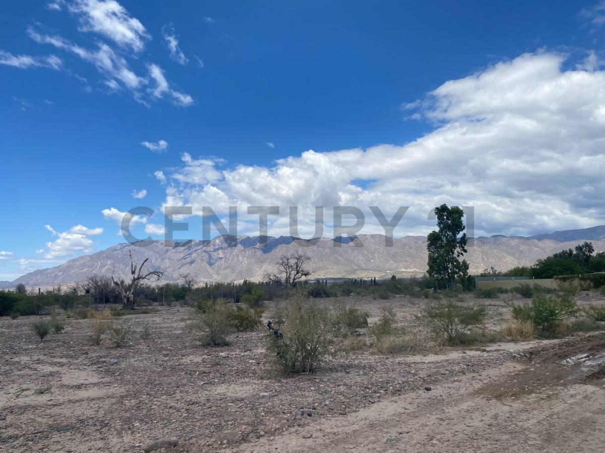 VENTA -TERRENO 1700 MTS2 - (POCITO) — foto 1