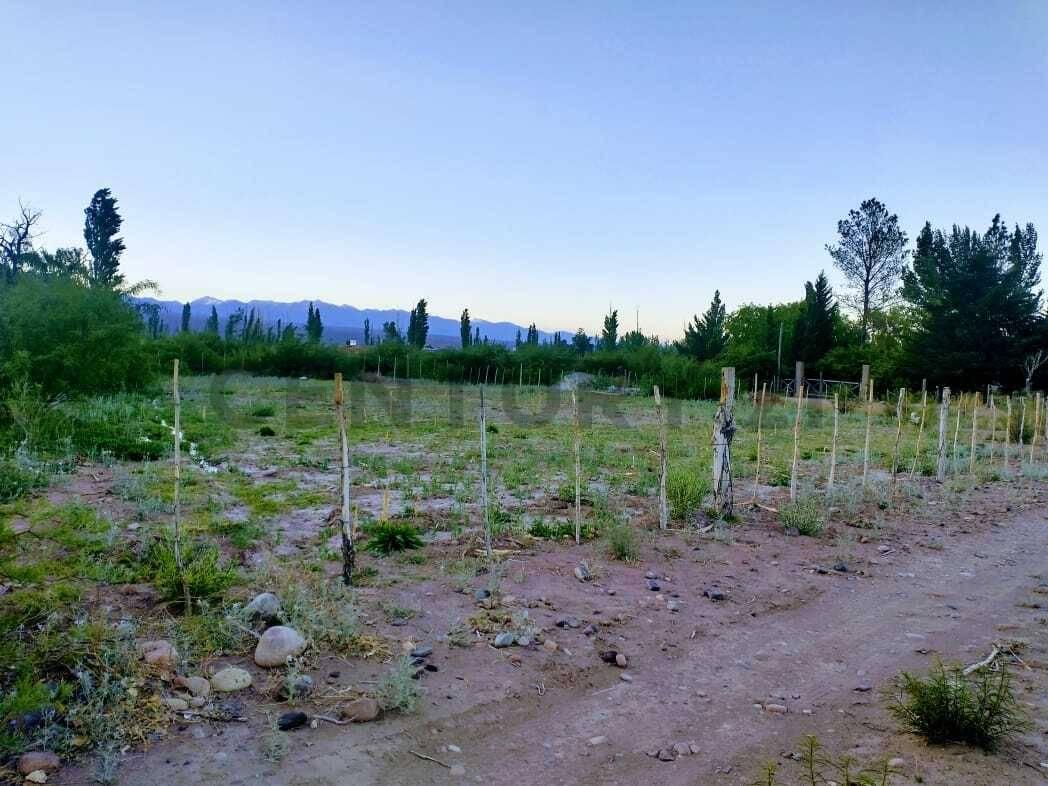 VENTA TERRENO BARREAL — foto 1