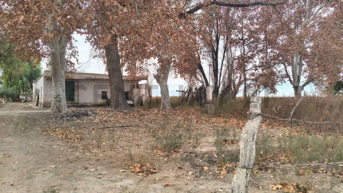 OPORTUNIDAD ÚNICA EN ANGACO – QUINTA DE 1 HECTÁREA — foto 1