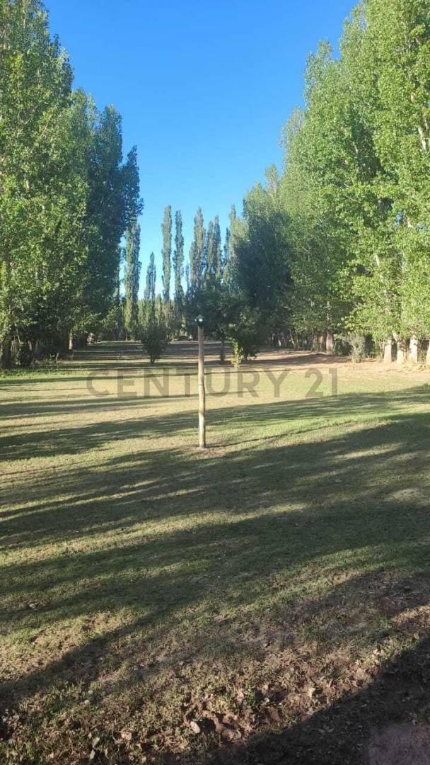 Terreno en Barreal: Naturaleza, Tranquilidad. — foto 1