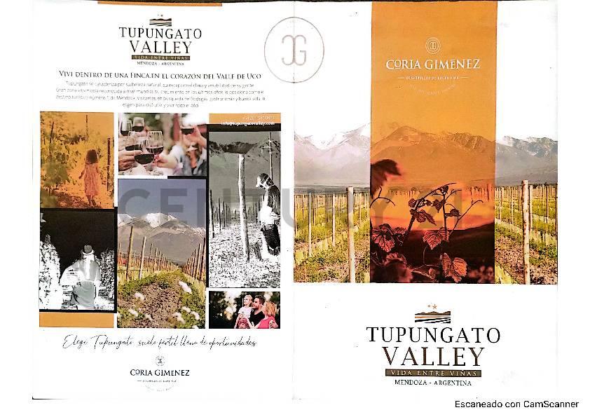 Century 21 Baigorria ofrece a la venta terreno en el Barrio Privado Tupungato Valley-Mendoza. — foto 1