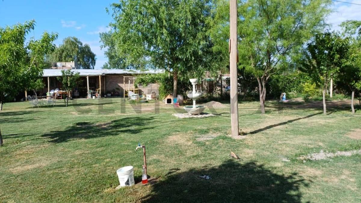 VENTA DE CASA CON QUINCHO Y PILETA EN LA PRIMAVERA, MENDOZA. ID: 350066 — foto 1