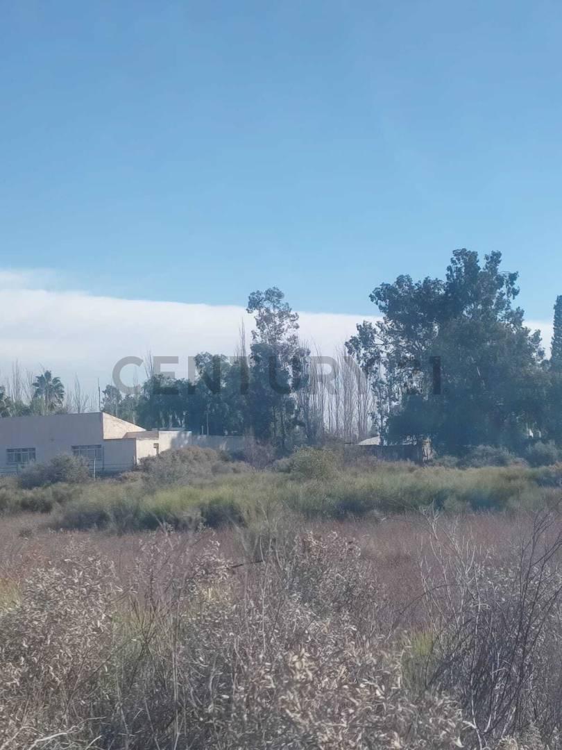 VENTA DE TERRENO EN COLONIA SEGOVIA, GUAYMALLÉN, MENDOZA- ID: 359326 — foto 1